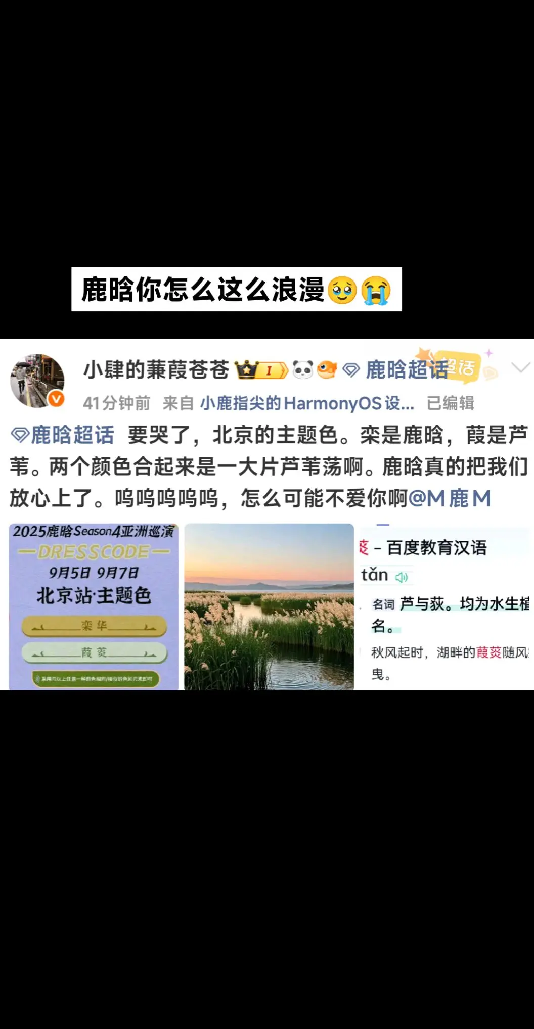 鹿晗他就是一个特别特别浪漫的人。