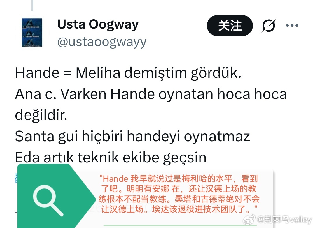 巴拉丁和梅里哈，我个人觉得美丽哈还实用点，至少不会失这么多分。所以土耳其球里之间