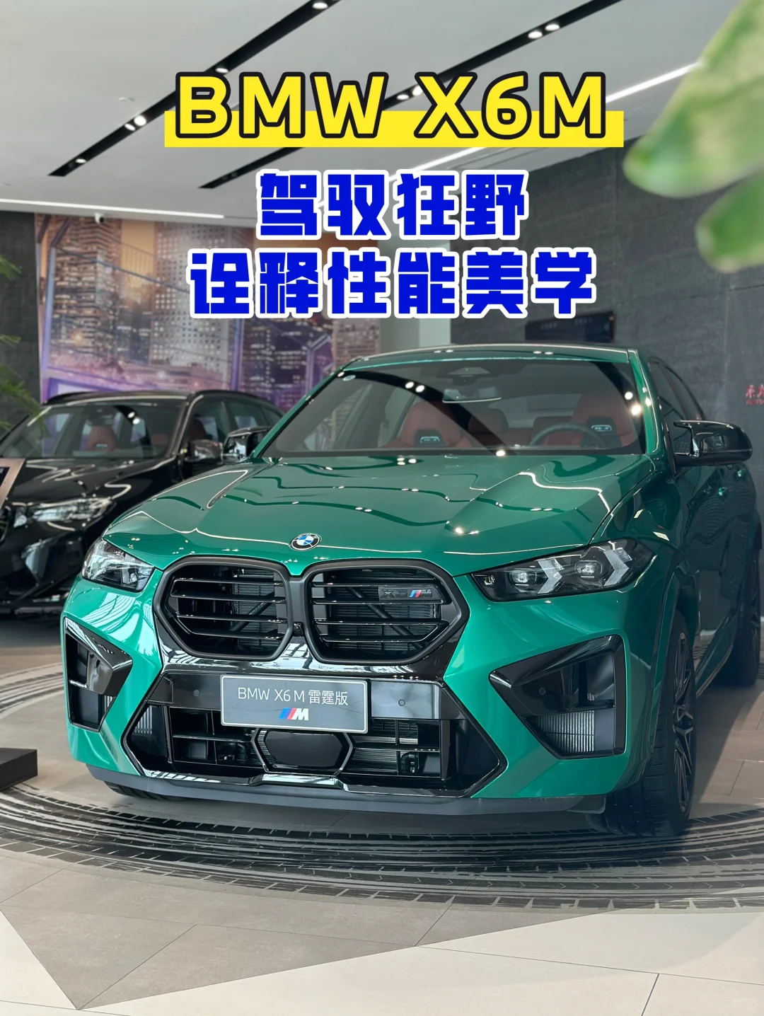 🔥驾驭狂野，诠释性能美学🚀