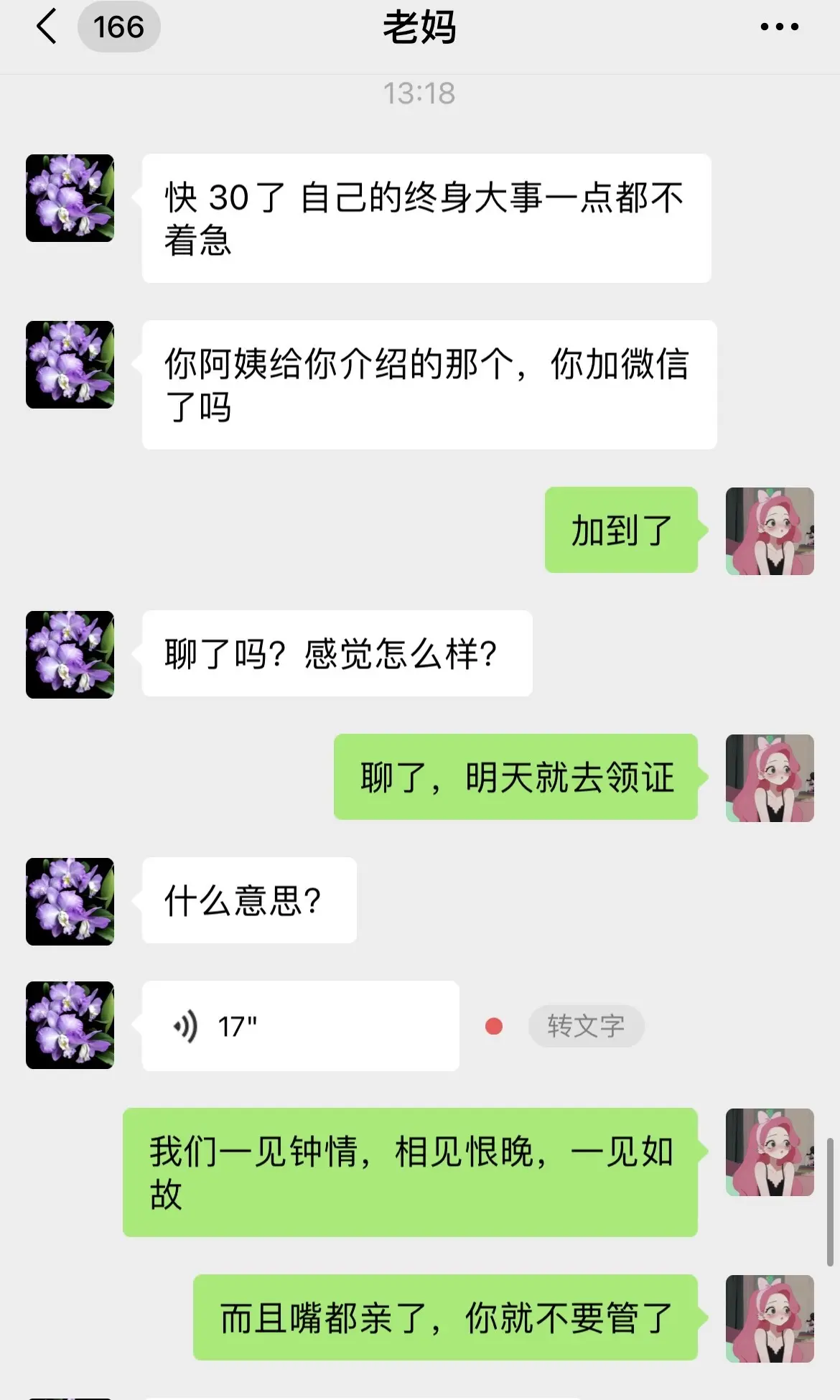 面对老妈催婚，一本正经的胡说八道哈哈