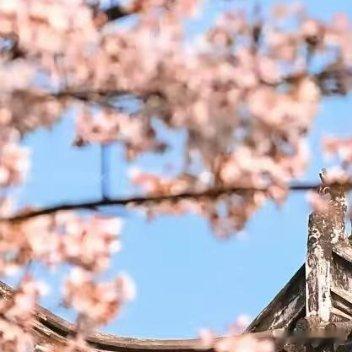 每日一善生命的天空里，有风和日丽，亦有云遮雾障。不是每轮艳阳都暖人，不是每片乌云