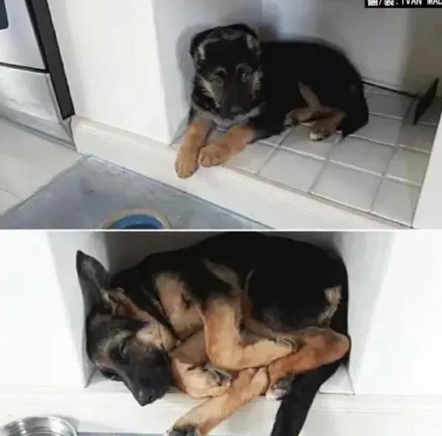 这张图告诉我们一个人生道理，就是越长大，舒适圈越小[抠鼻]
 
