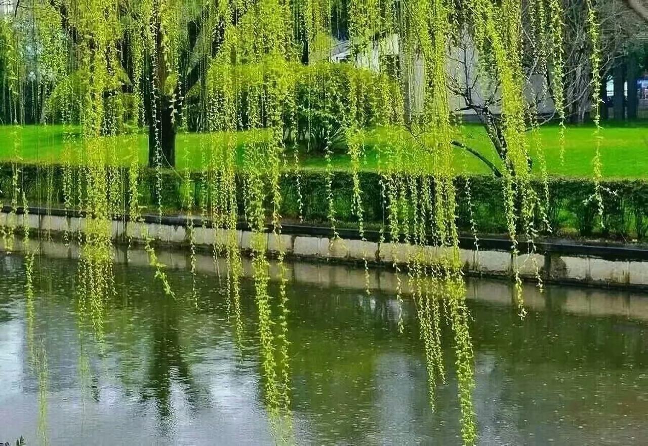 春满山河，人间正暖，共赴一场希望之约

“等闲识得东风面，万紫千红总是春。”当第