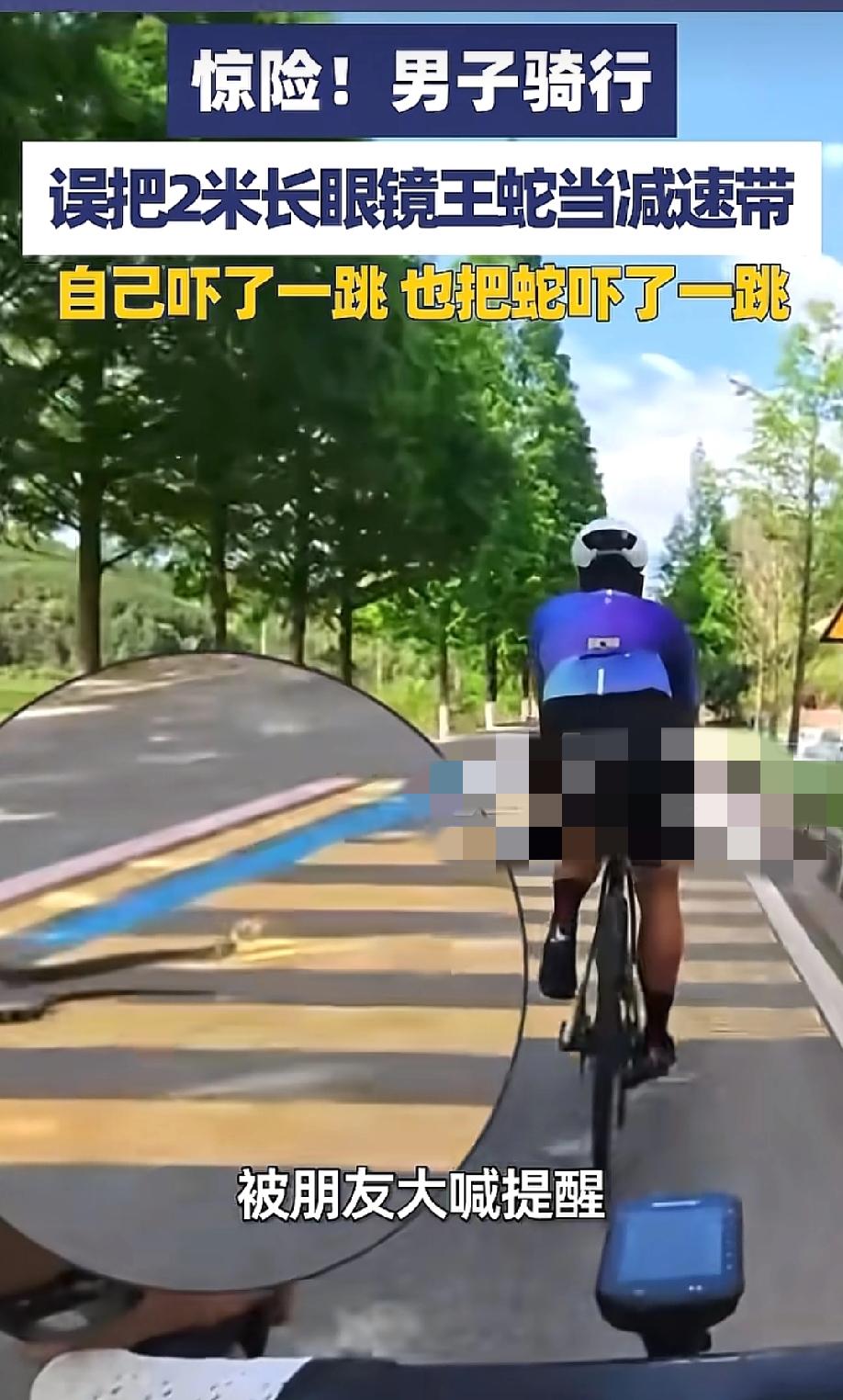 "腿软了！"5月17日大象新闻报道，一男子户外骑行，前方路上横着条黑乎乎的带状物