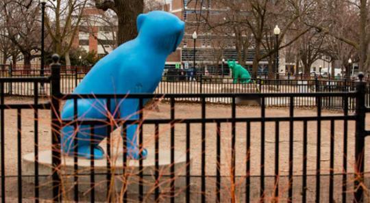 【危险犬袭击儿童致重伤，加拿大女子获刑一年且10年禁养狗】加拿大多伦多女子帕特里