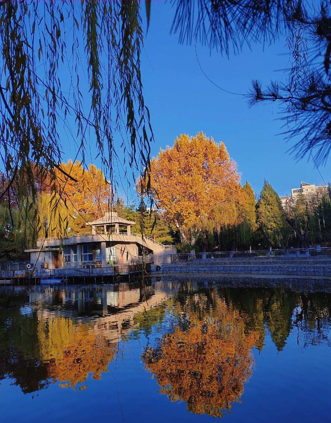 一家人身体健康快乐！就是最大幸福