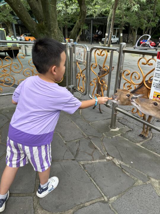 不要成为孩子的第一个霸凌者