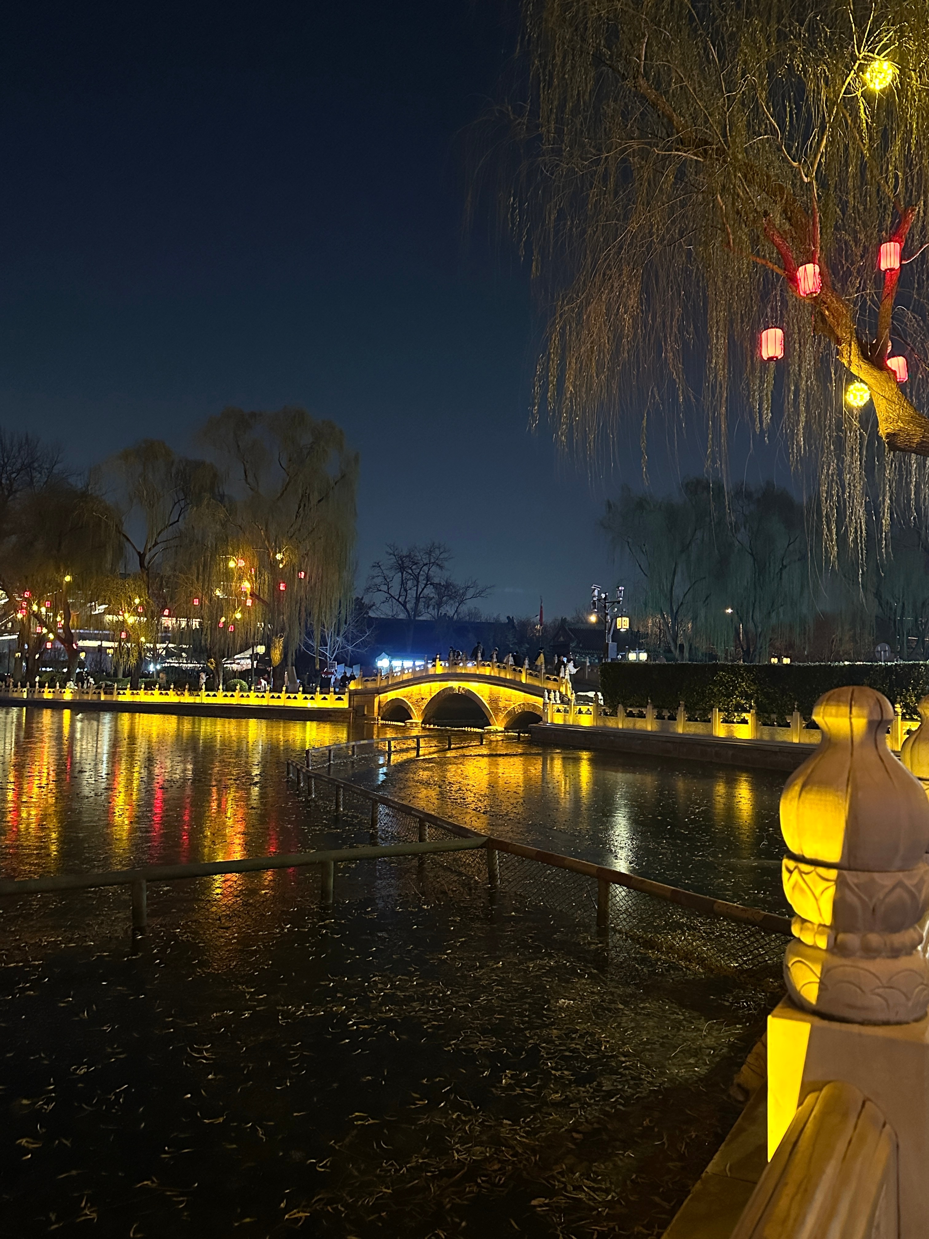 什刹海都结冰了！🧊 北京·什刹海公园