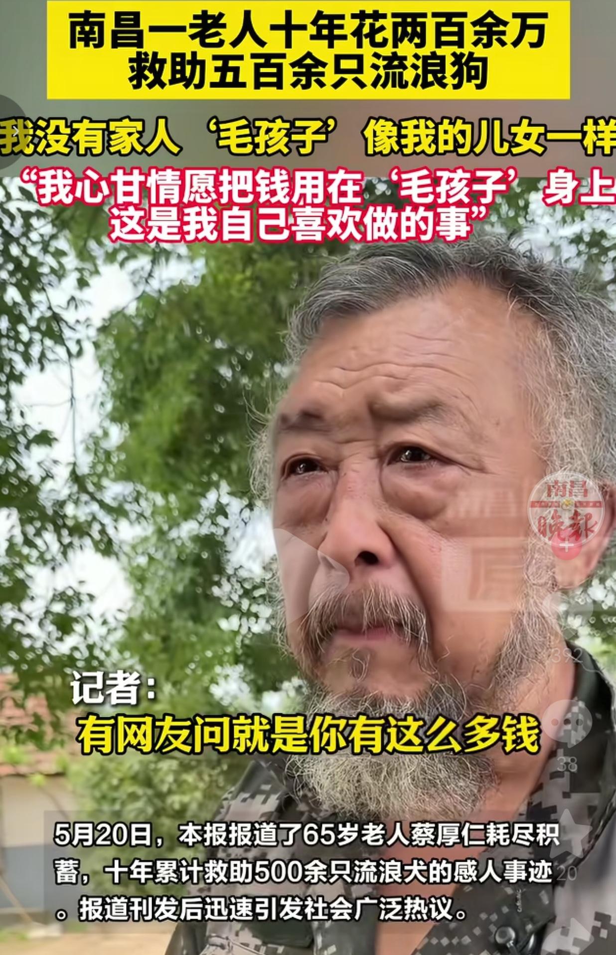 十年倾尽200多万积蓄收养五百只流浪犬，南昌六旬独居老人，把流浪狗当成自己的亲生
