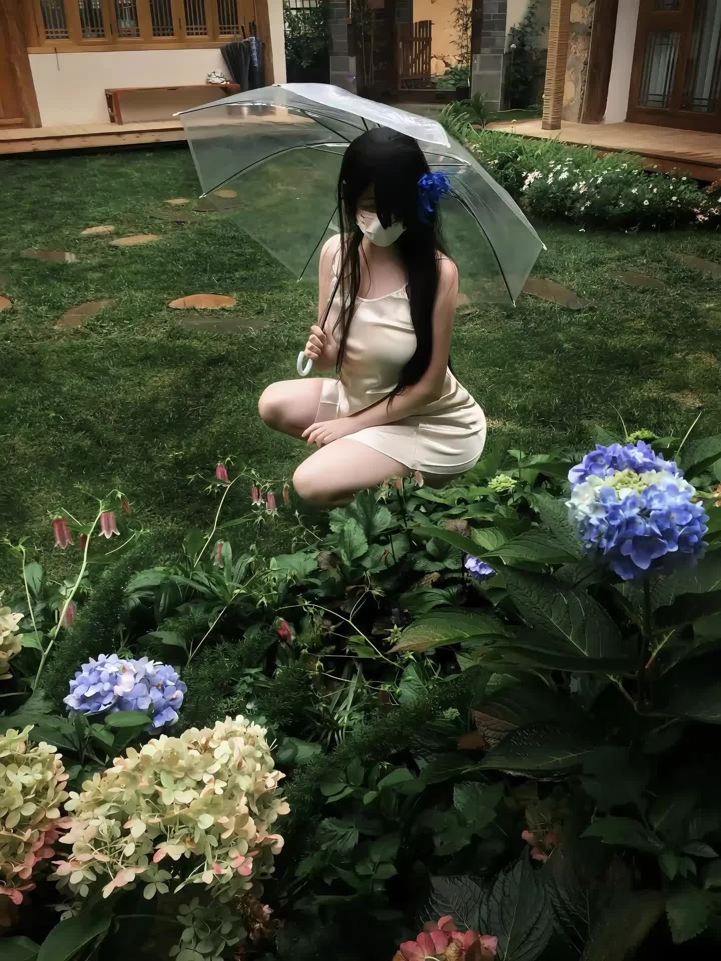 窗台那盆和你种的花 被我偷偷留下