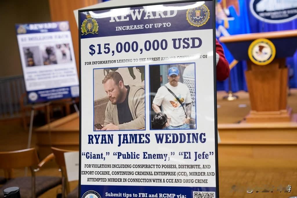 曾代表加拿大出战冬奥会的前单板滑雪选手瑞安·韦丁（Ryan Wedding），因