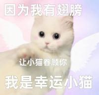 宝宝呜呜呜你要一直平平安安健健康康