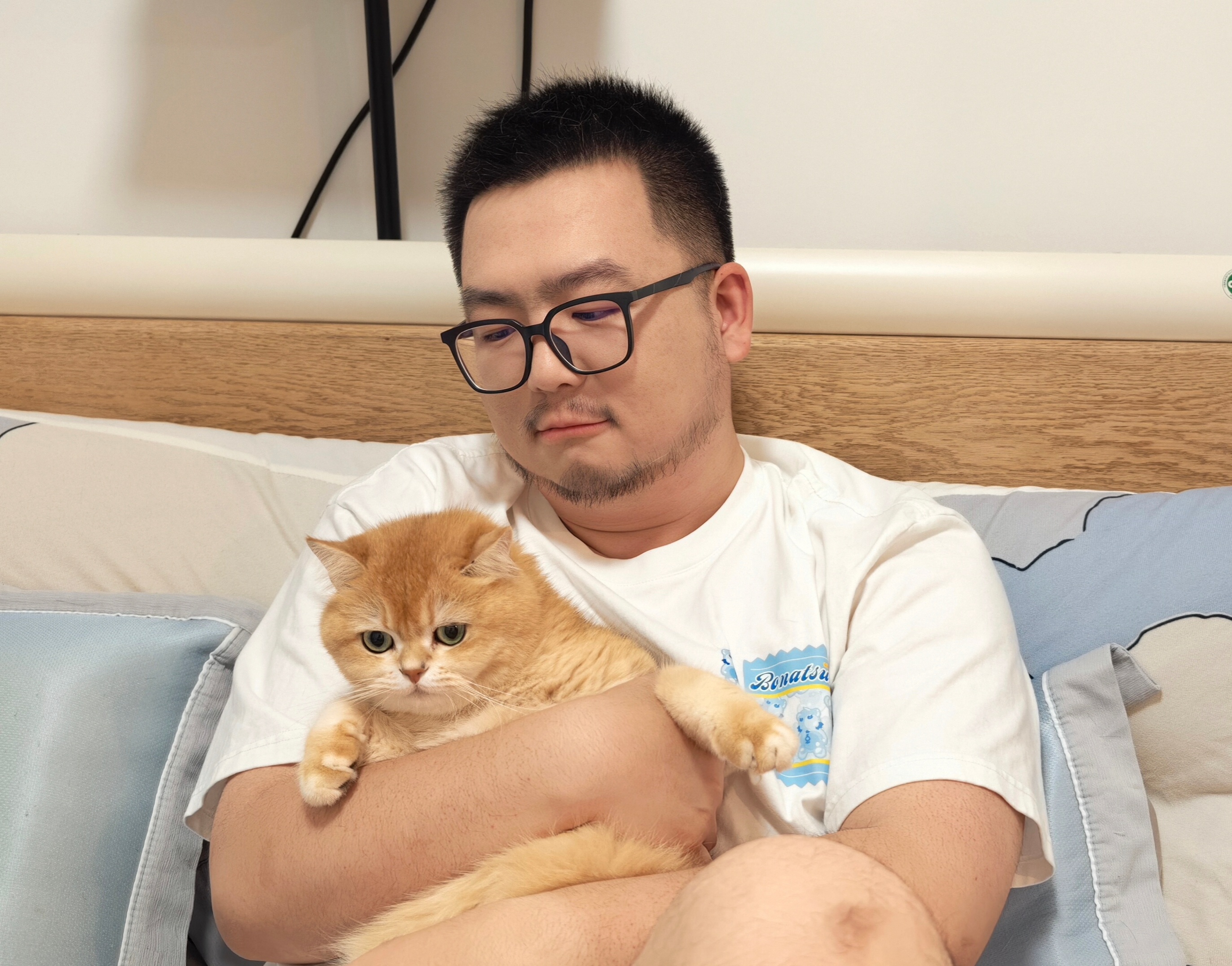 在父亲节不乖的小猫咪是要被🐯爸爸惩罚的哦