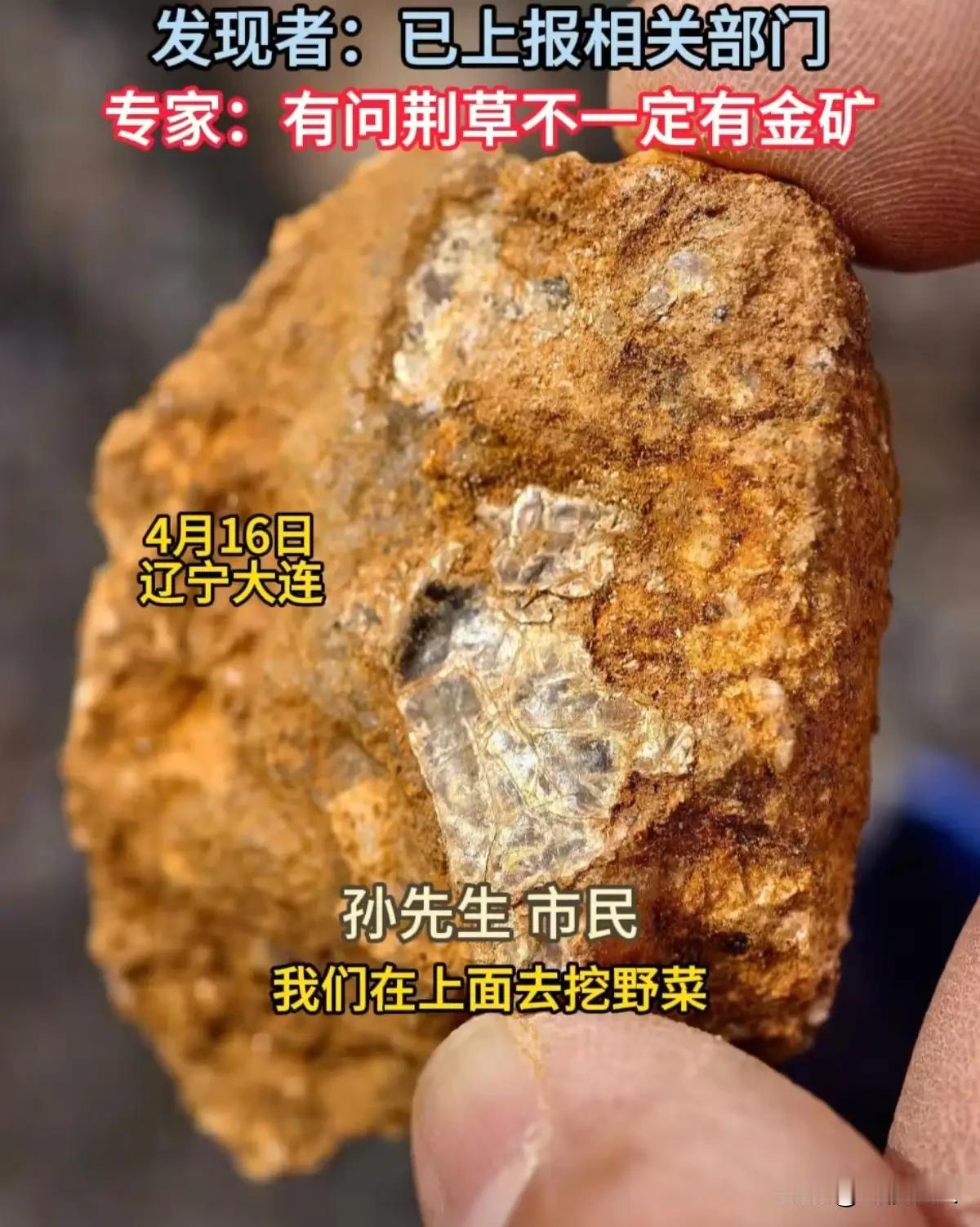 8岁男孩挖野菜喊出“山下有黄金”，一个举动引全网点赞：这才是最珍贵的宝藏！
4 