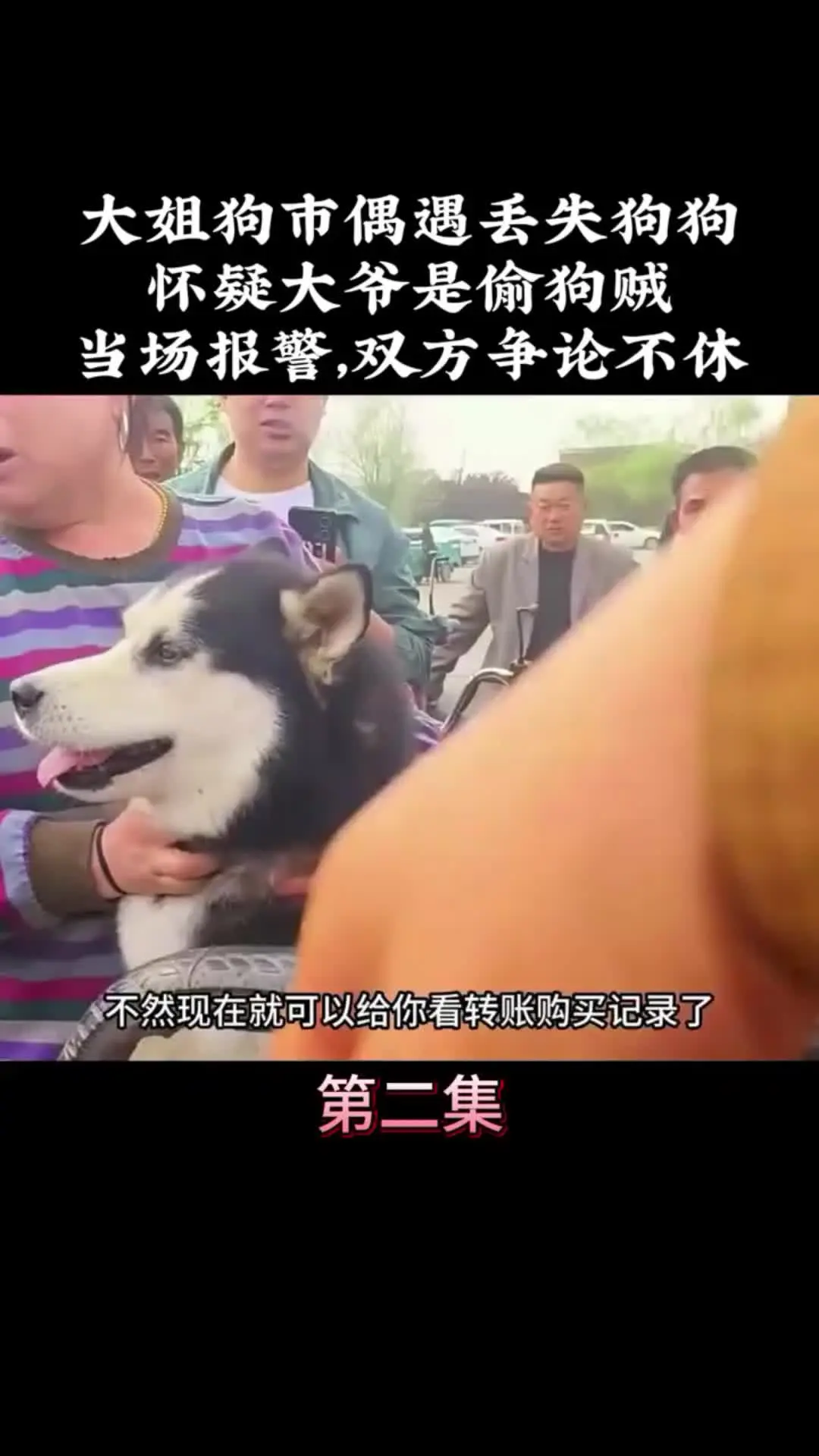 我的观影报告 内容启发搜索