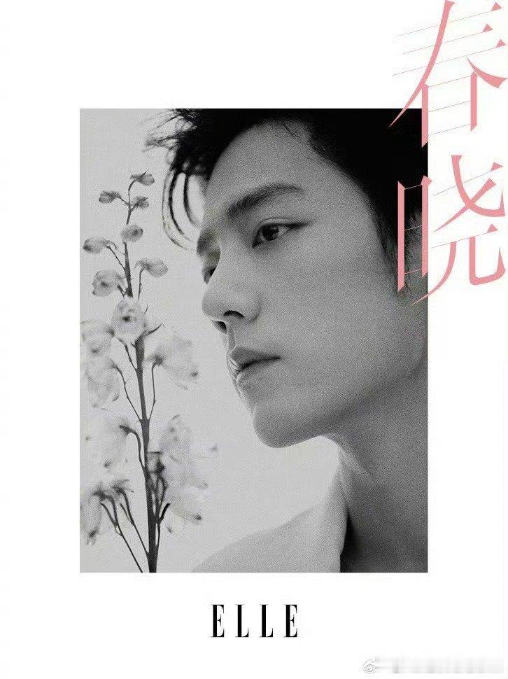 肖战Elle一月刊开始预热 表现力如何肖战ELLE杂志