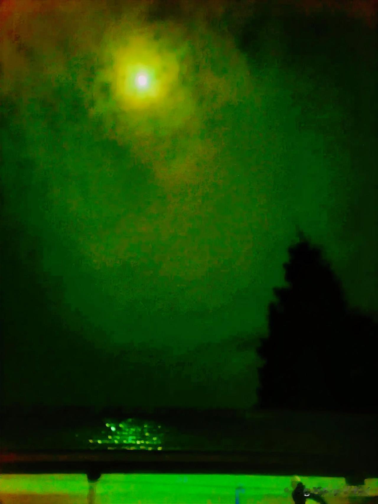 《明月（李林4月27日摄于汉中城固）》