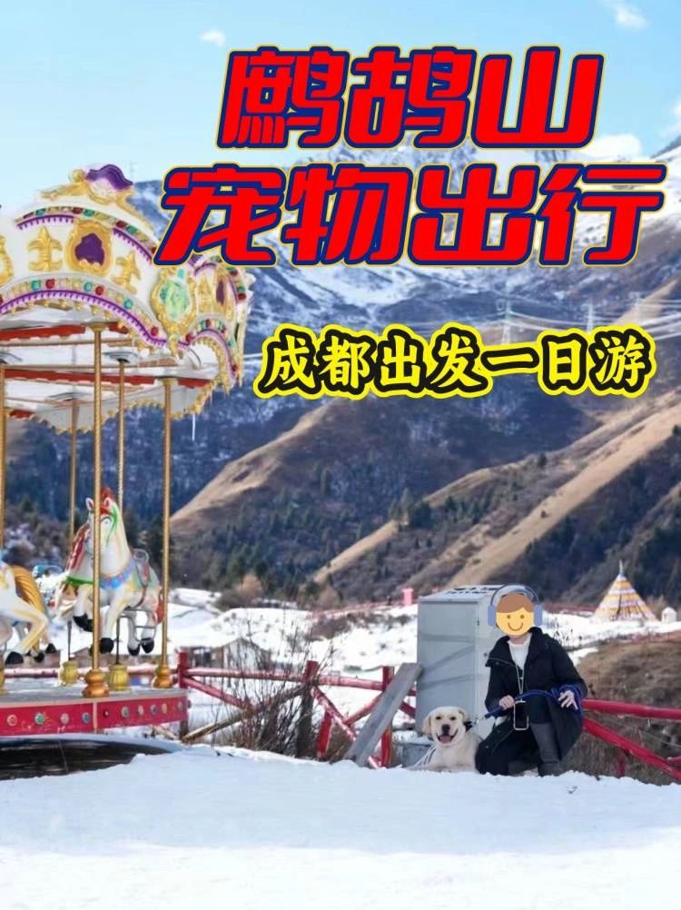 成都户外一日游组队中🔴带上宠物出行徒步