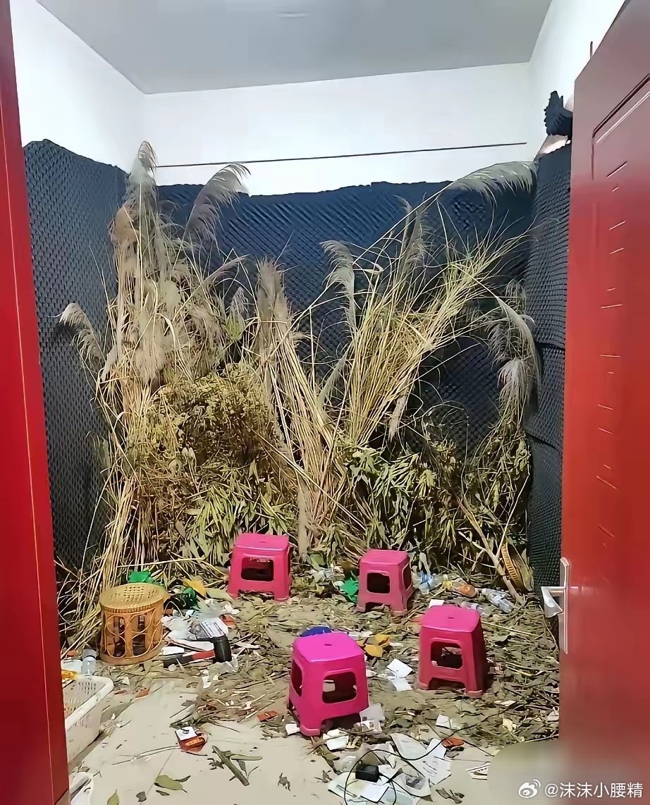 不会吧连这个也要造假我就说嘛，大晚上的，一个人不可能在野外直播，后面黑漆漆的一片