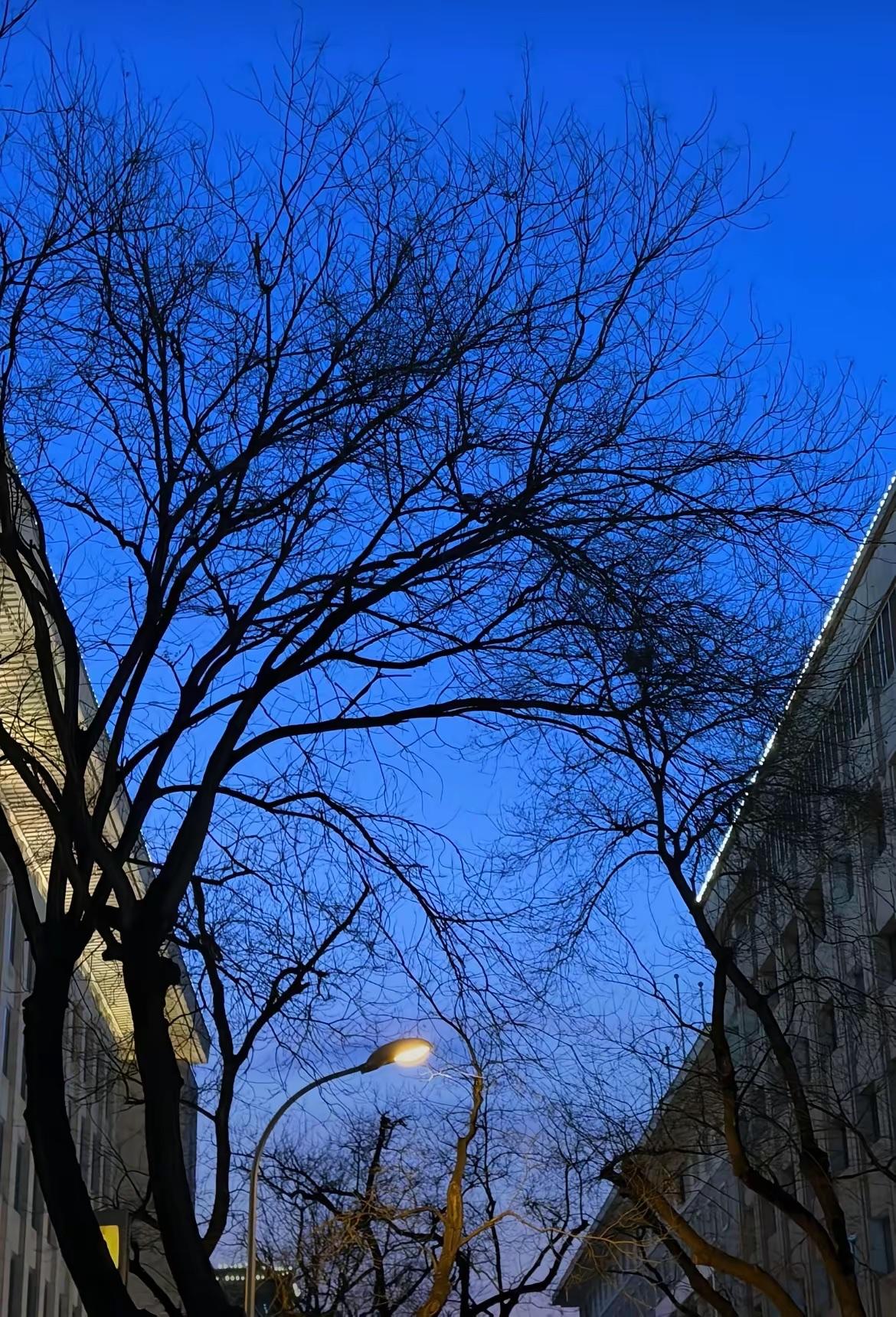 树欲静而风不止，请不要伤害我，请多一些善良，多一些福报