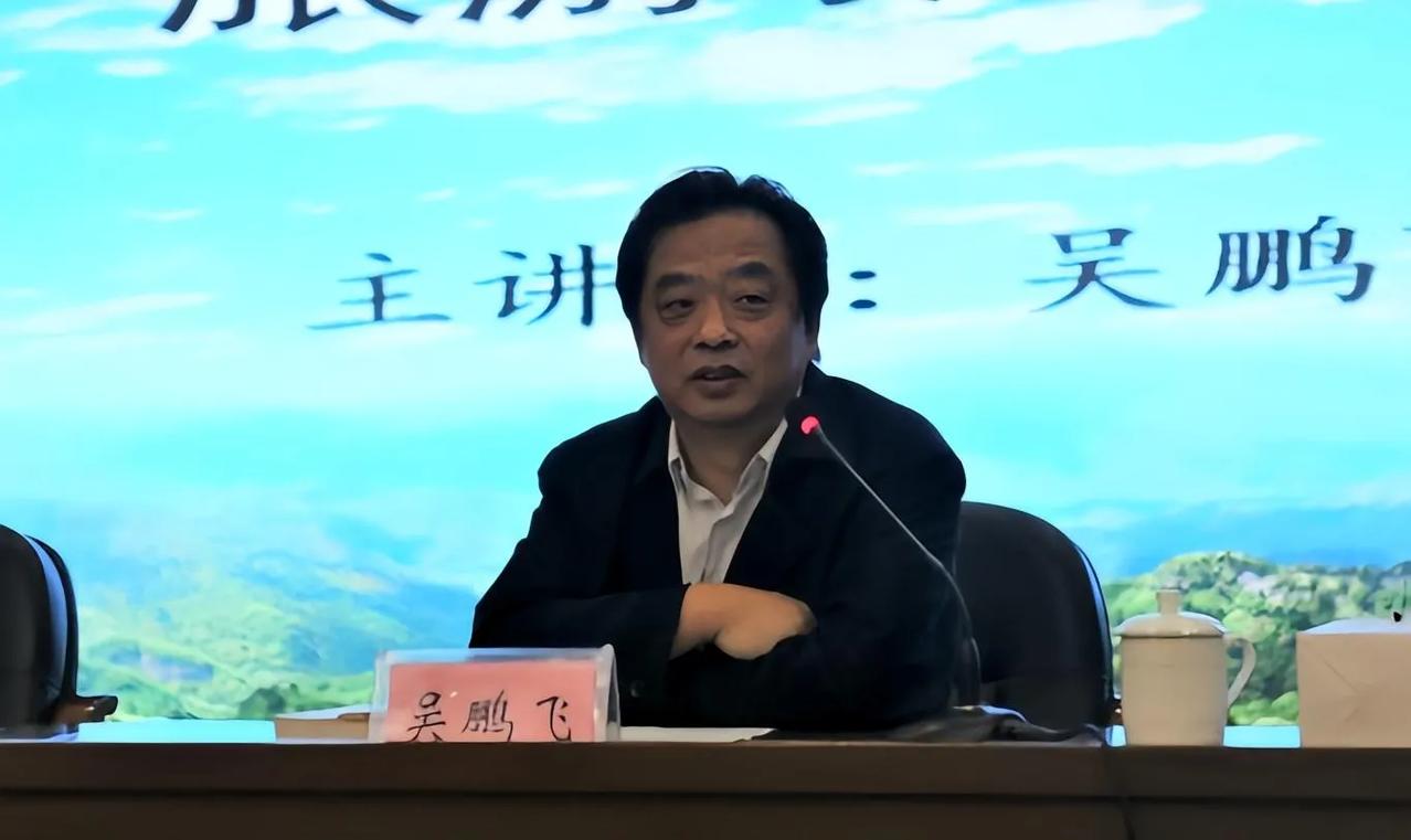 吴鹏飞究竟是什么人？
       毕业于华中师范大学，
       先后从事