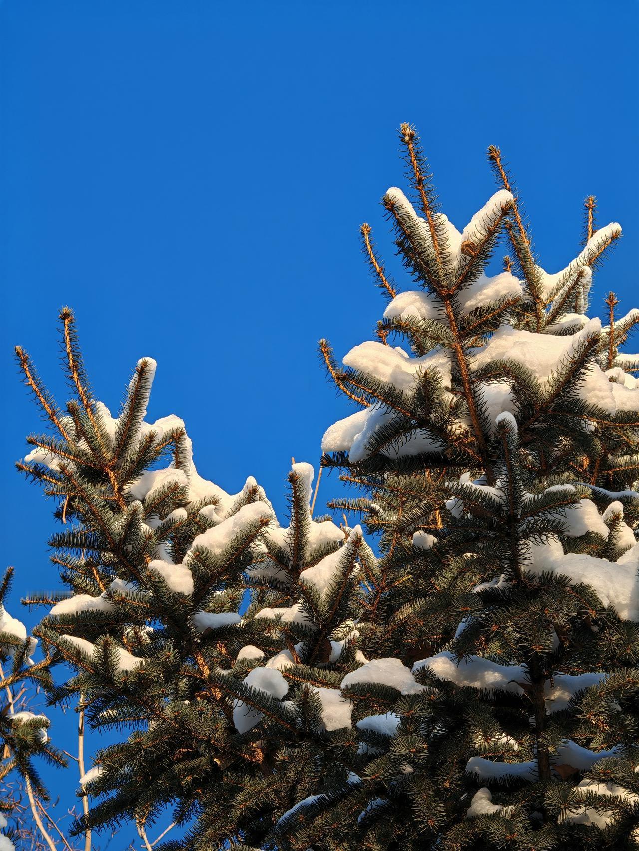 与痛风斗争的历程138
 
   晨起各关节状态尚可，唯有左侧髋关节隐隐作痛，想