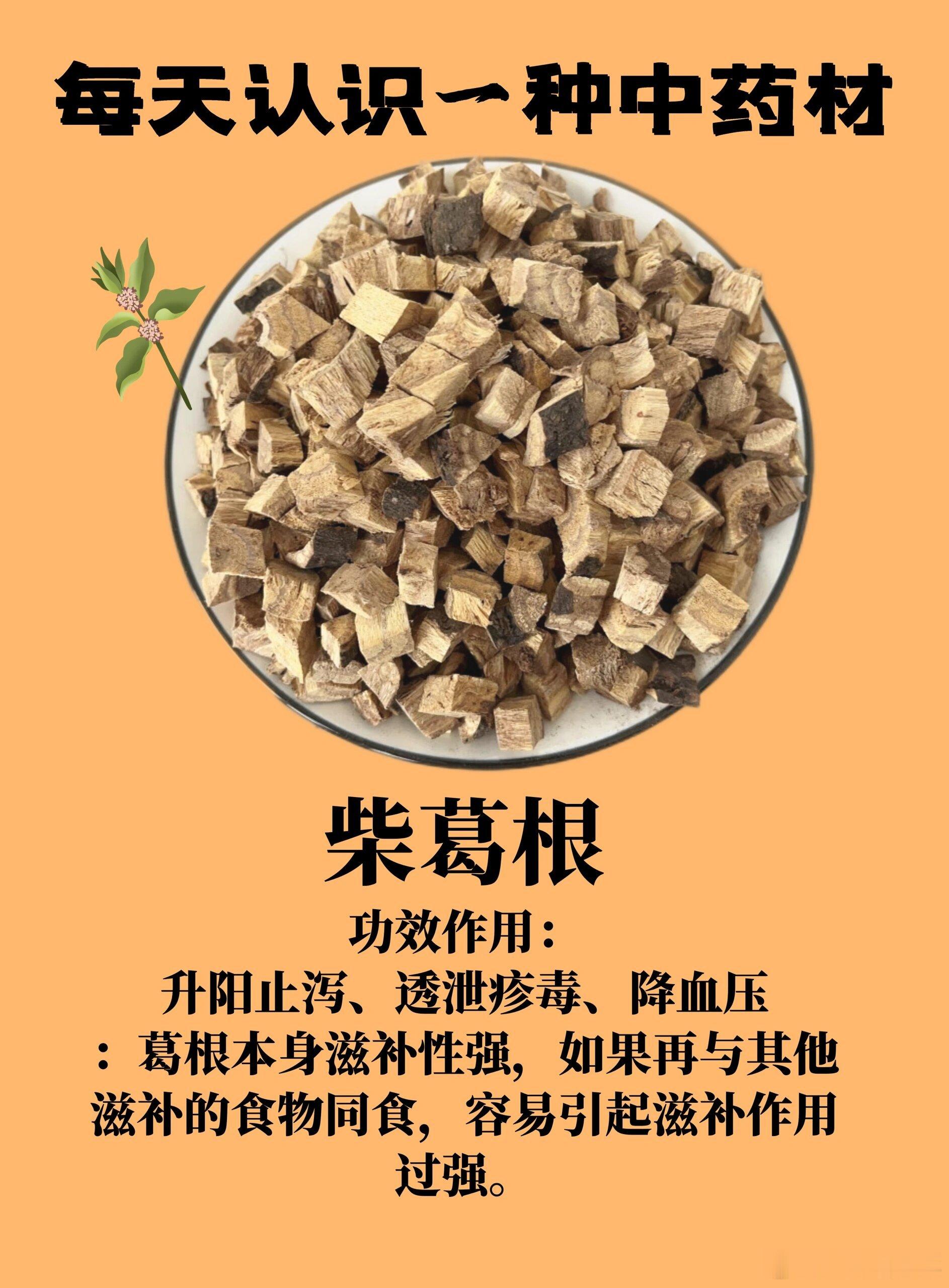 柴葛、粉葛辨析核心立论：葛根，秉升发清阳、生津解肌之性。柴葛偏清透走表，药力峻；