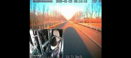 前天早上八点，秦皇岛45路公交车上，司机赵师傅正开车呢，眼尖发现路边树林里不对劲