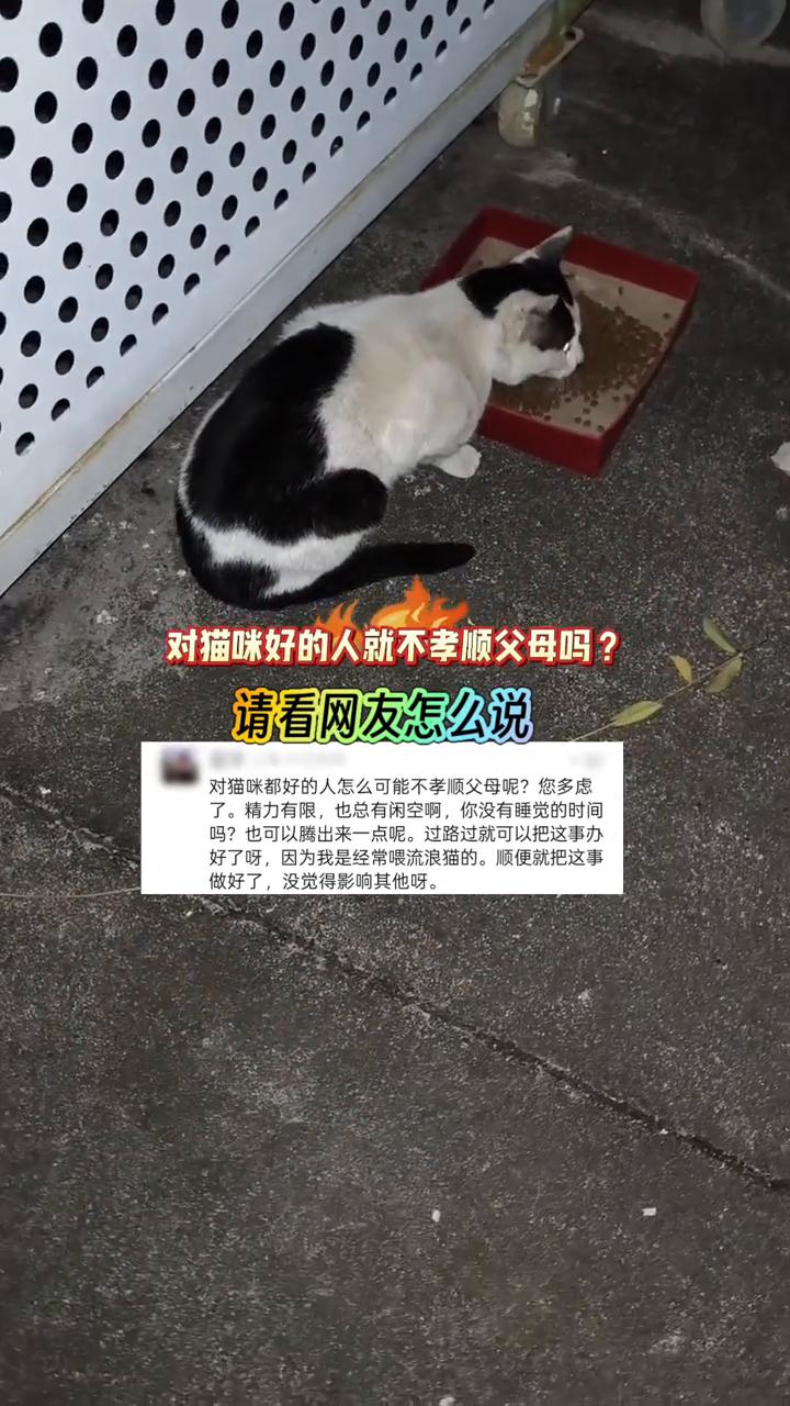 对猫咪好的人就不孝顺父母吗？请看网友怎么说。
对猫咪都好的人怎么可能不孝顺父母？