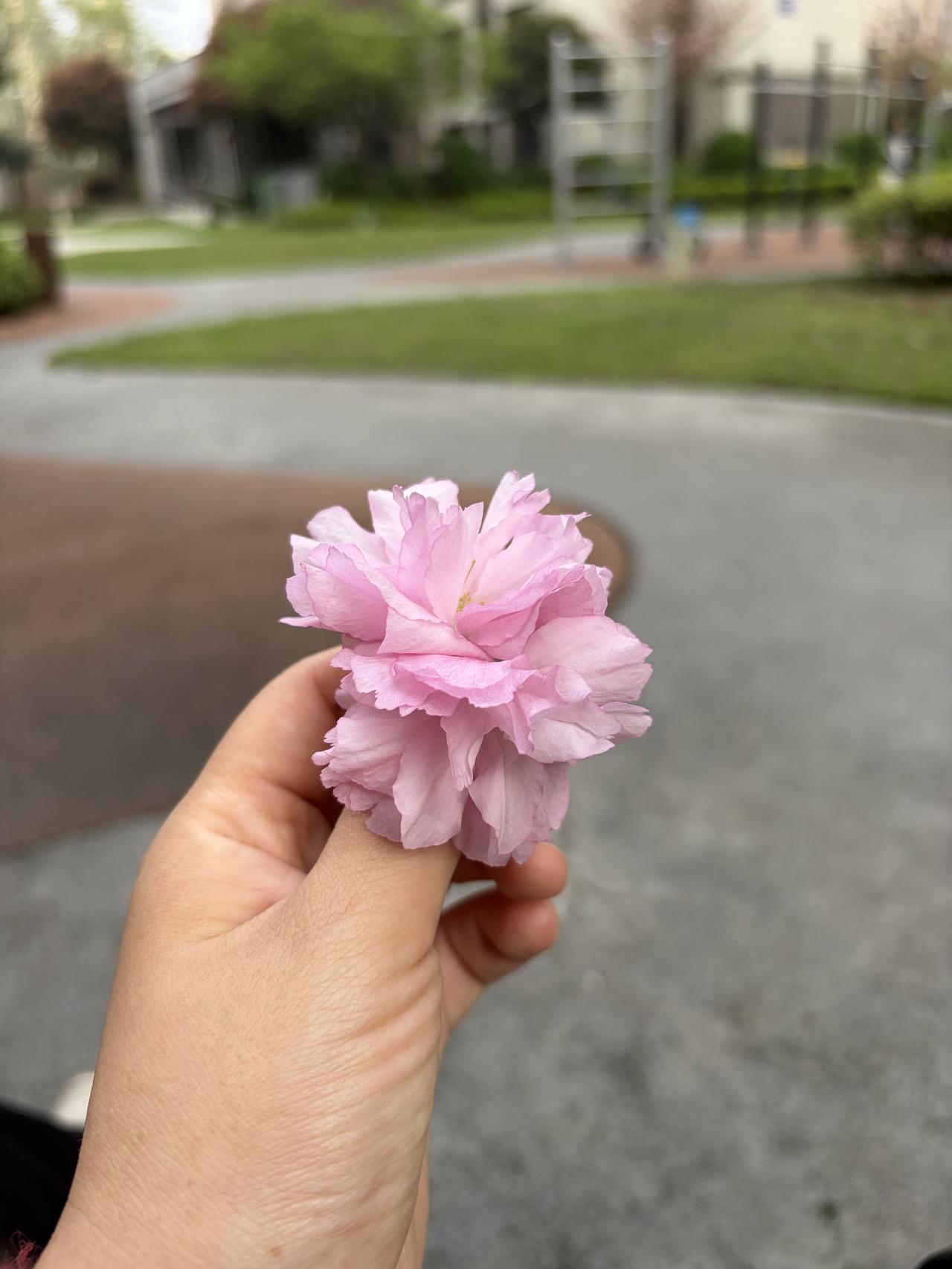 春日生活打卡季多彩生活！