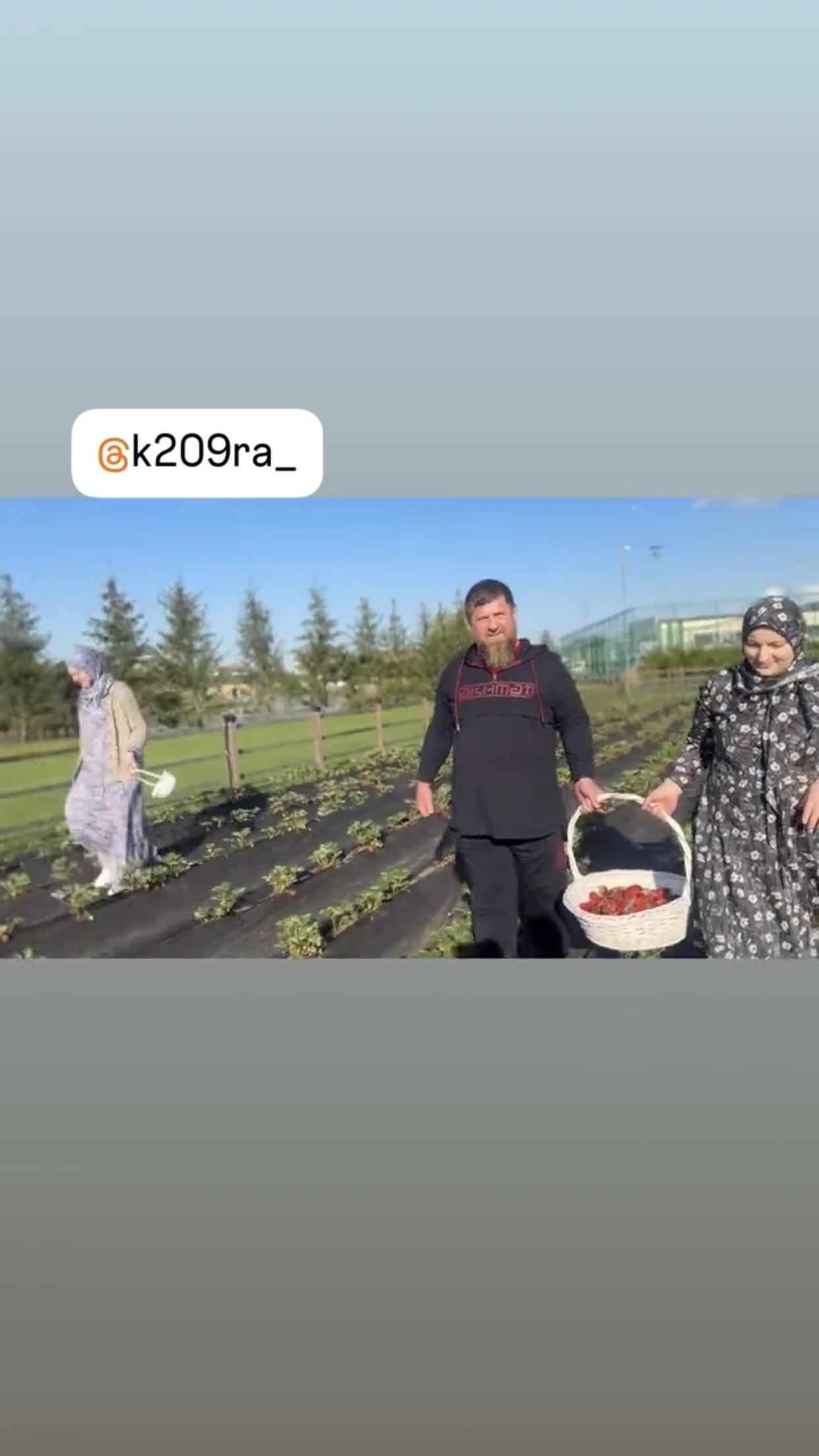 小卡家五月份摘草莓的家庭活动。在小卡艾特阿里的视频里，法蒂玛有露面。