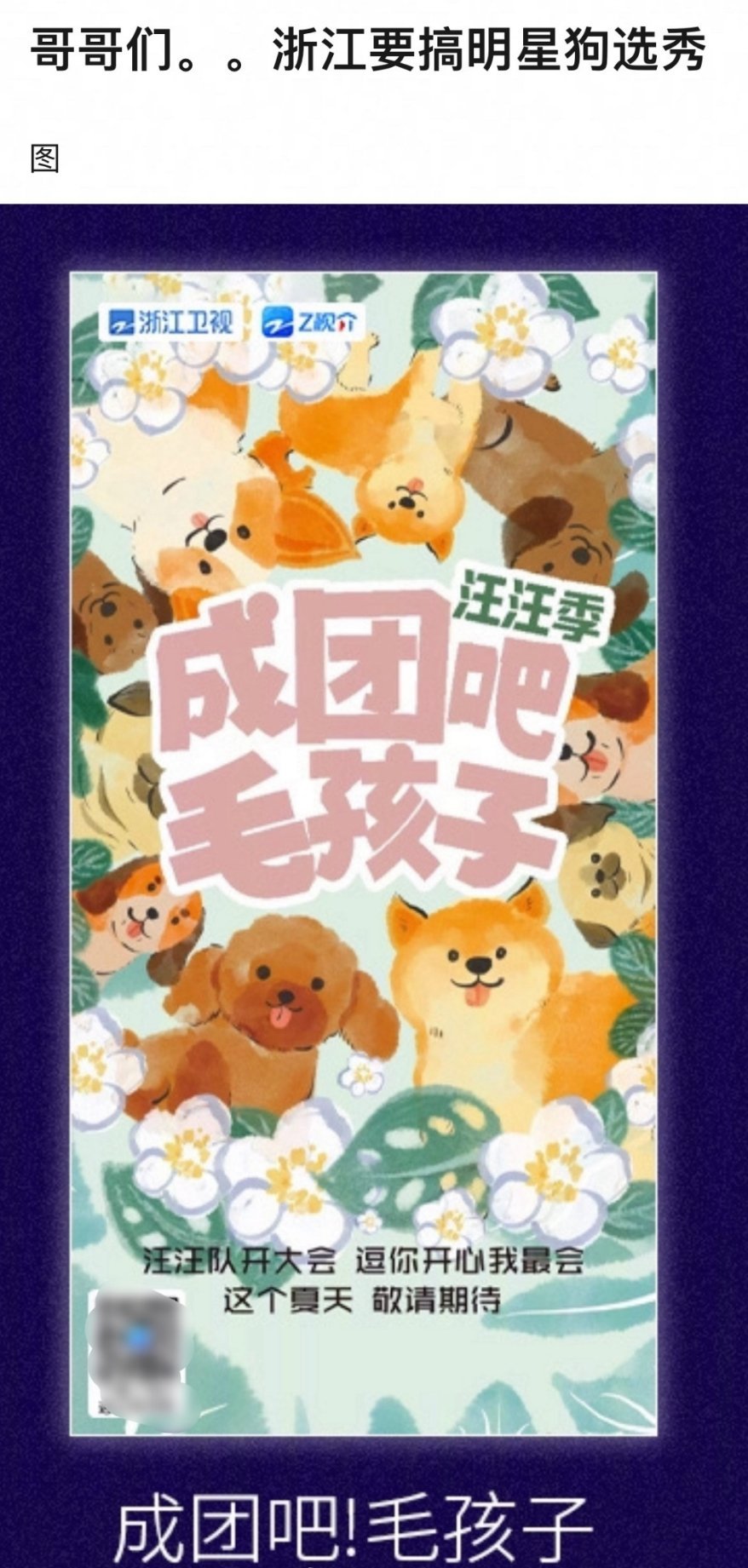 浙江卫视要搞狗狗选秀，《成团吧，毛孩子》预计夏天与观众见面。说真的是有一点期待，