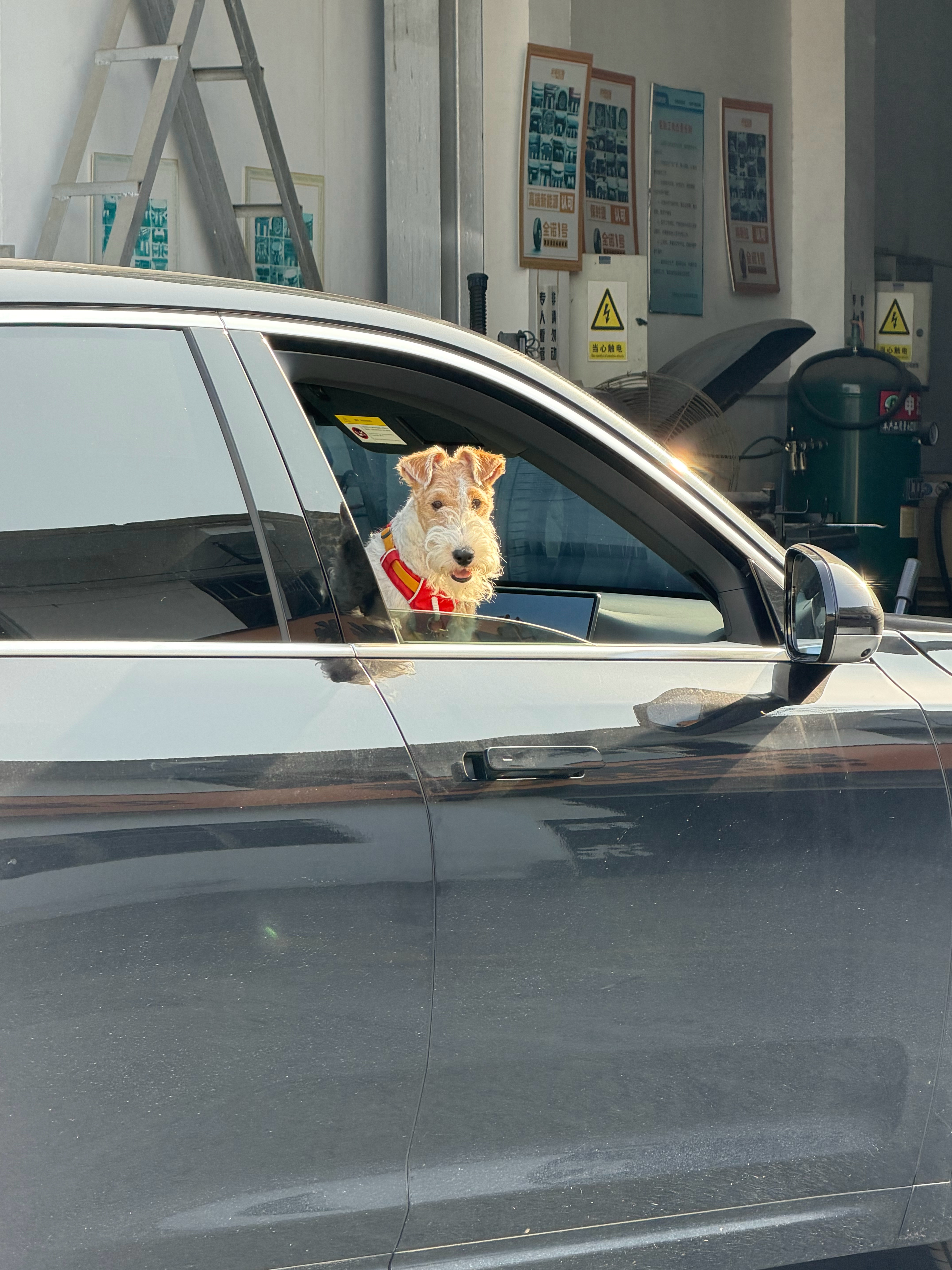 早上好啊，你们放假去哪玩啦 苏州