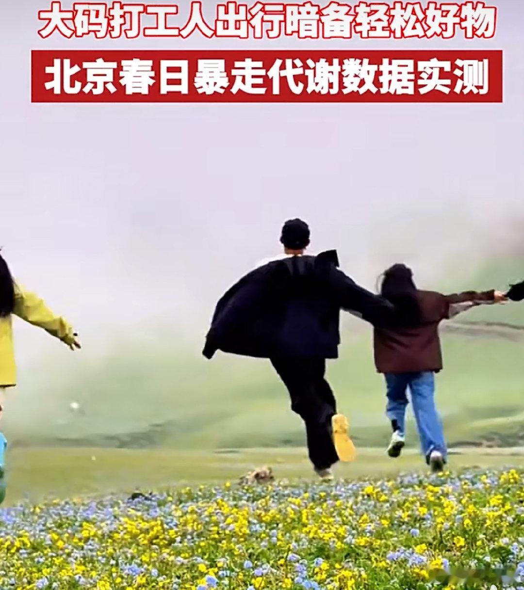 北京春日暴走代谢数据实测 春天是生长的季节，其实我们也觉得在春天多多走路，能够让