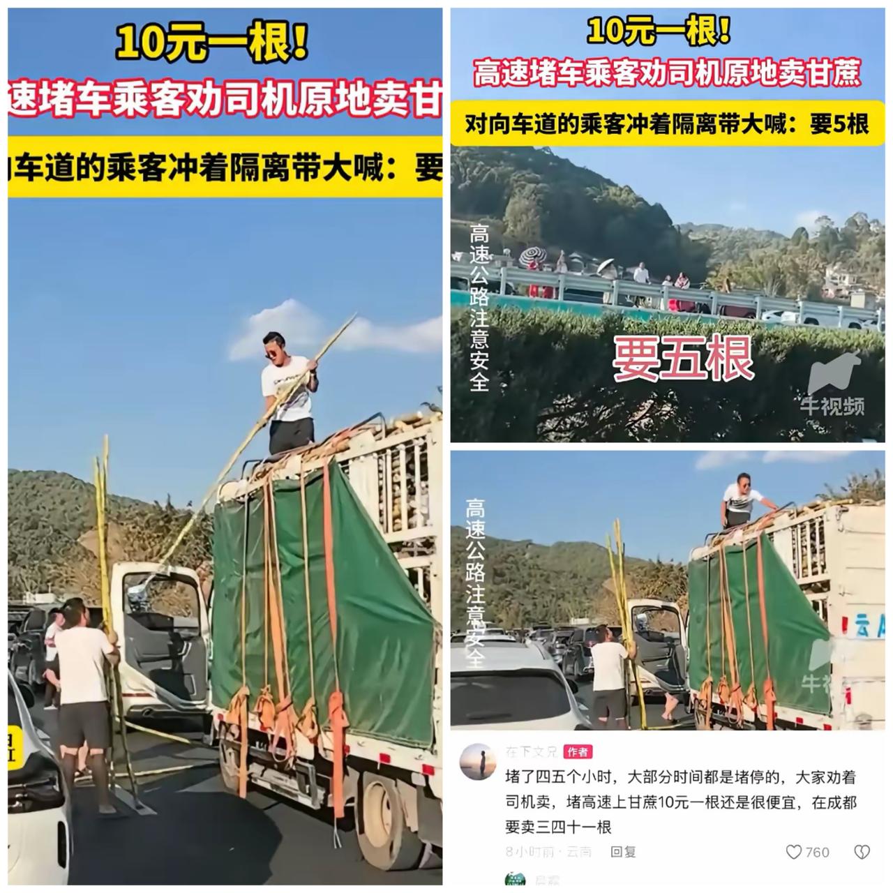 笑死了！云南墨江，一男子拉着一车的甘蔗上高速，没成想，赶上返程高峰期，直接堵在了