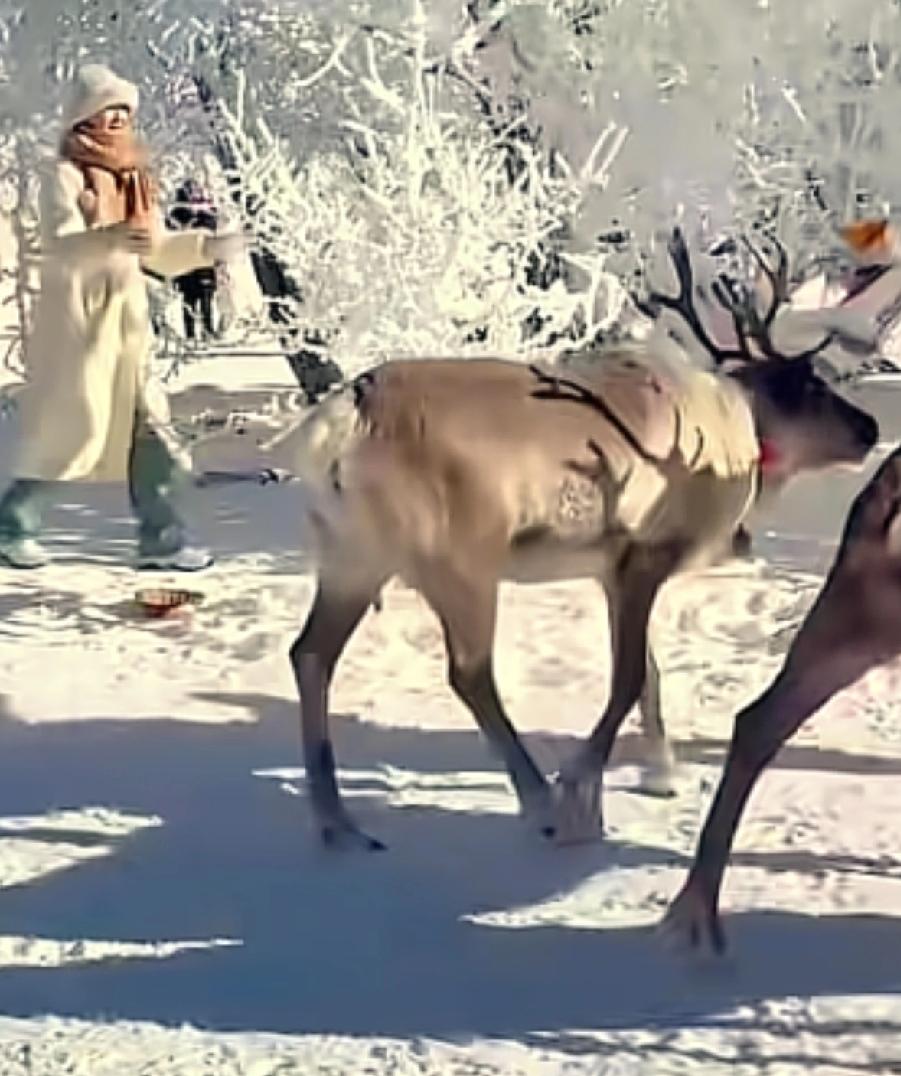 分享随手拍下的风景照随手拍～