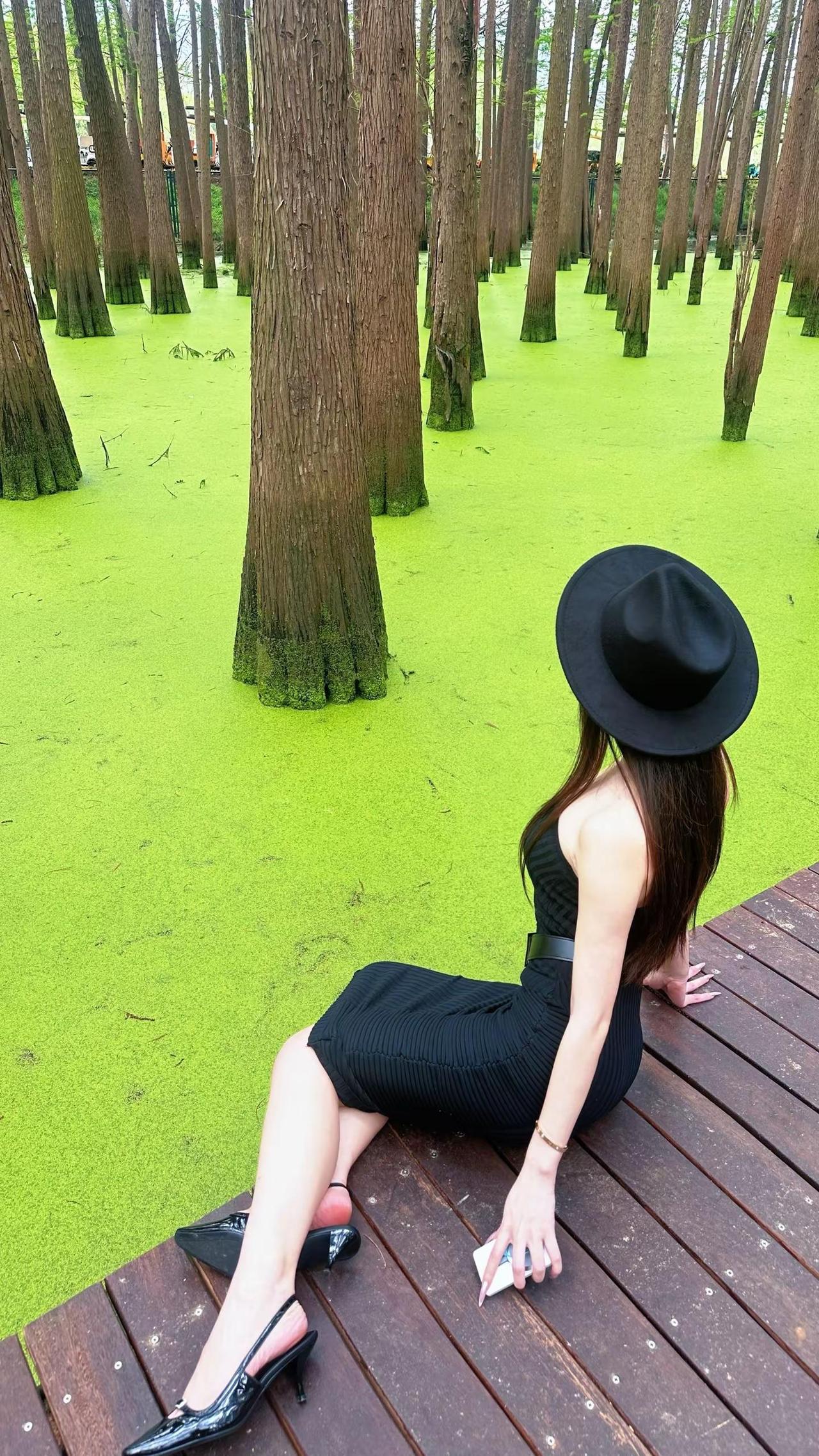 是某天是一瞬间。青山湖水上森林 御姐