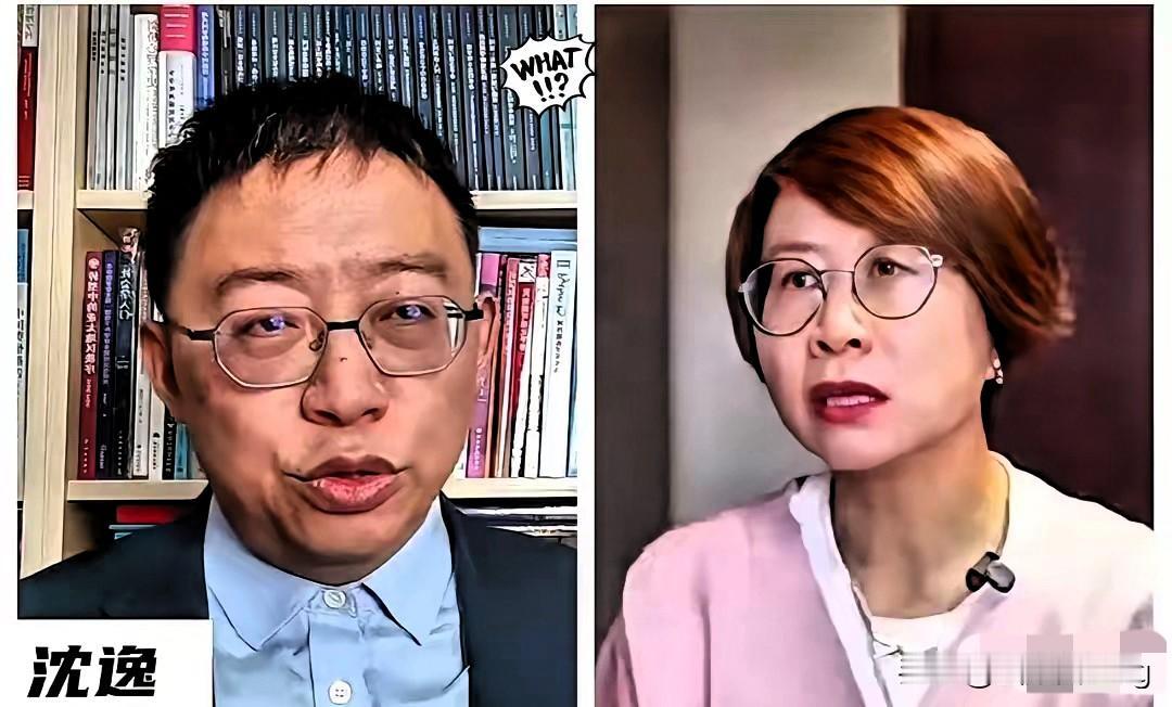 500万欧元喂出的“人权口号”？赵宏的争议，戳破了西方合作的虚伪面具！

瑞典这