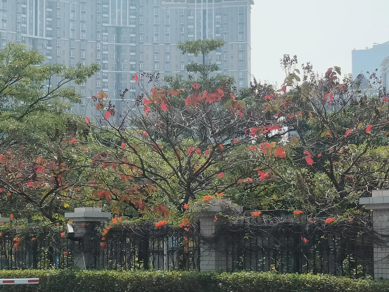 大盘调整继续，倆会前以稳为主。
两会在3月5号举行。这段时间大盘都会在震荡调整中