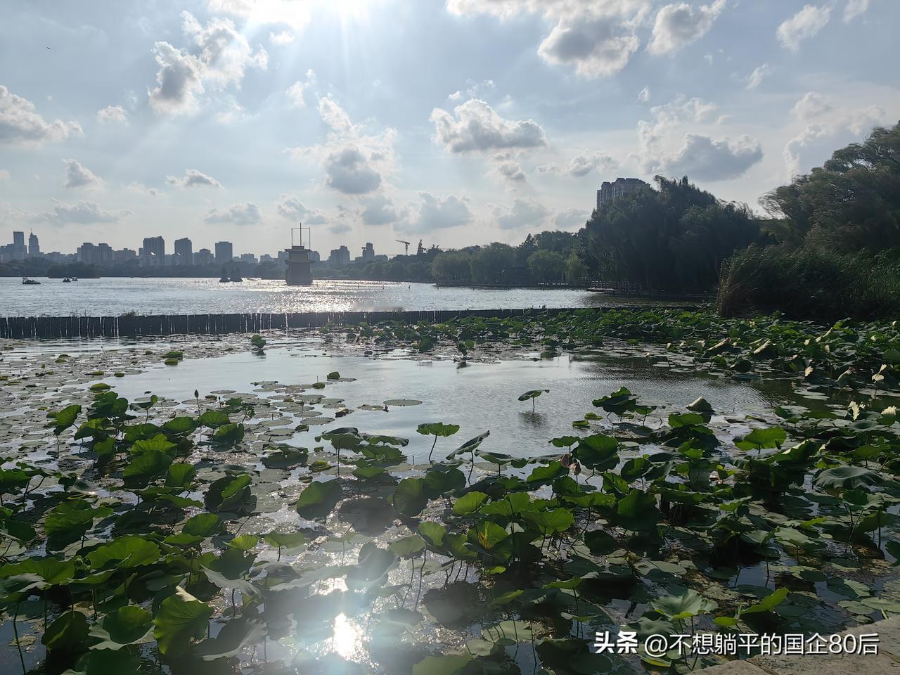 今天还是下雨天，淅淅沥沥连住下三天了，今年夏天的气候感觉和南方的差不多，不过立秋