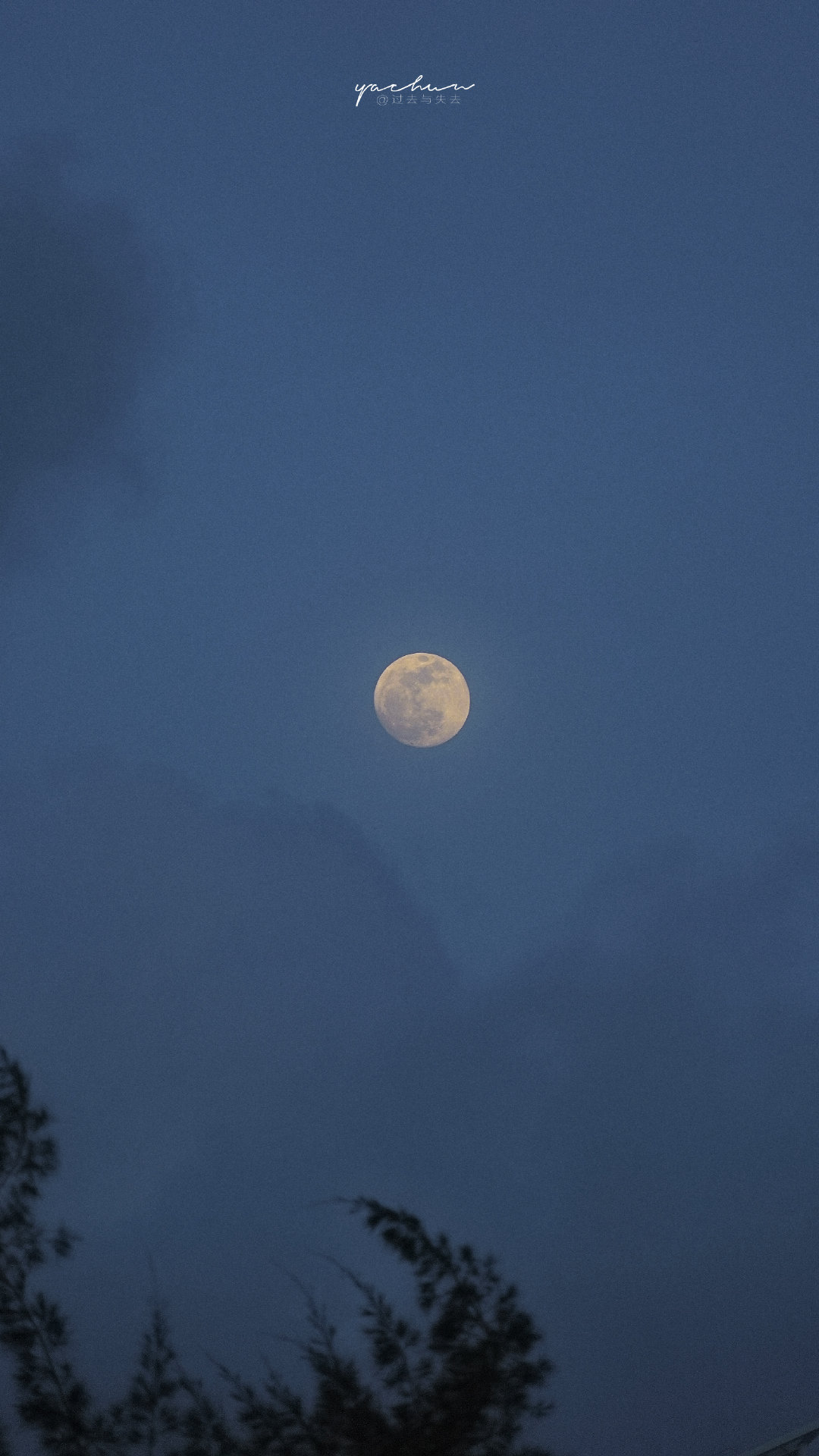 “水满则溢，月盈则亏”，这个世界从来只有更美，而没有最美。而最靠近完美的一刻，就