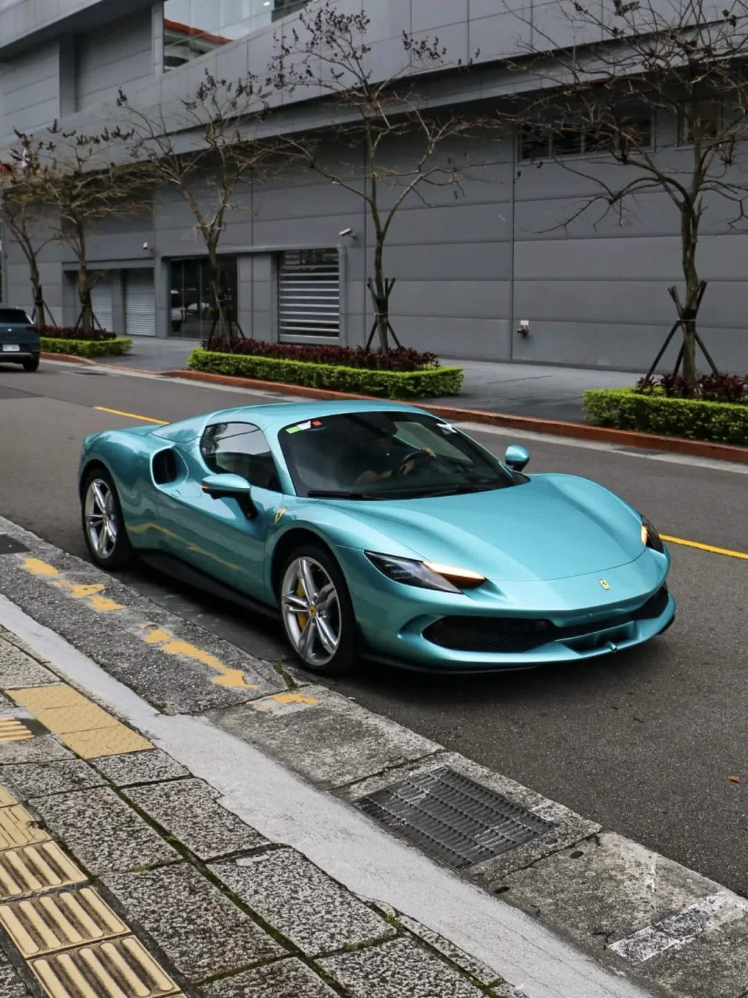 296GTS｜Blu Tiffany