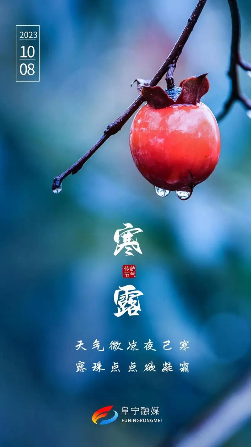七律•寒露
深秋气候已生凉，
夜露来时带浅霜。
郁郁金英昂首灿，
幽幽玉桂漾清香