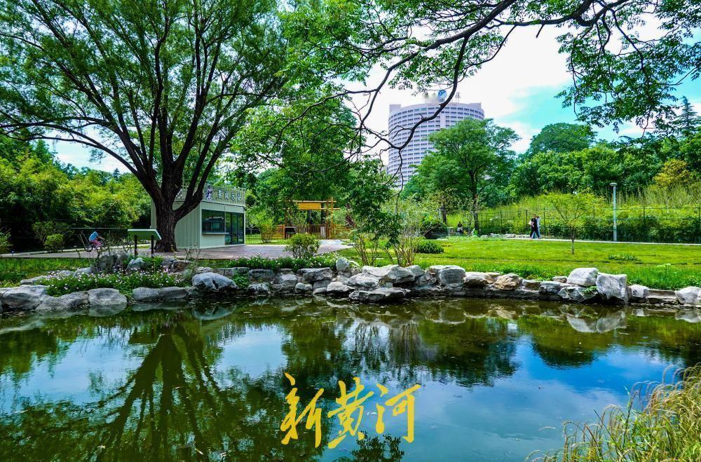 城市有“野”趣，济南首个生境花园里人与动物共享绿色家园！5月16日，在繁华都市的