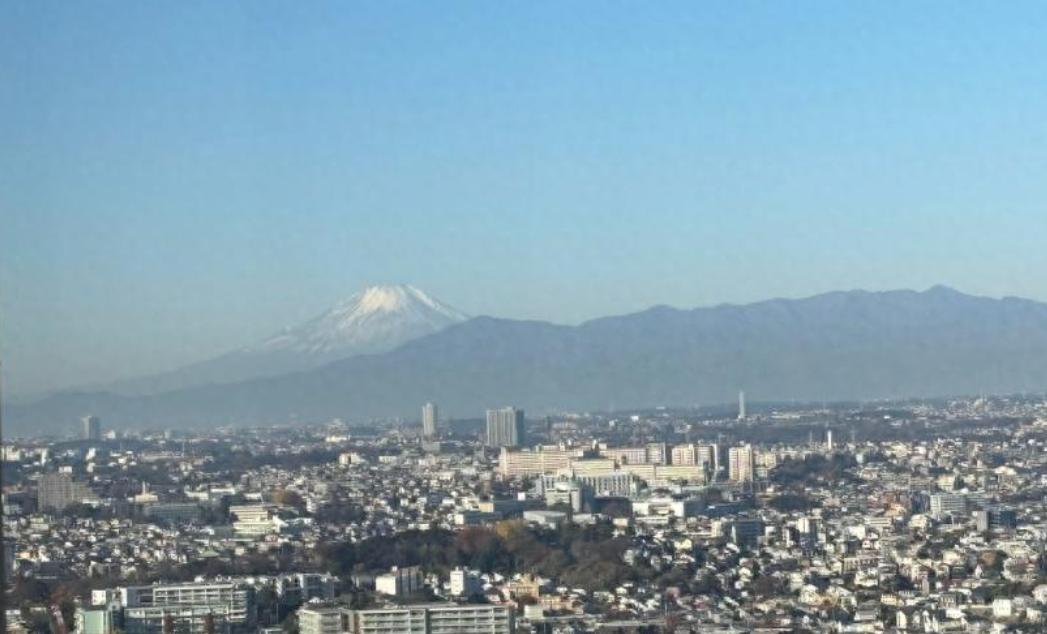 给日本去武装化，1038 种两用物项禁止对日出口，日本要的代价来了？

根据央视