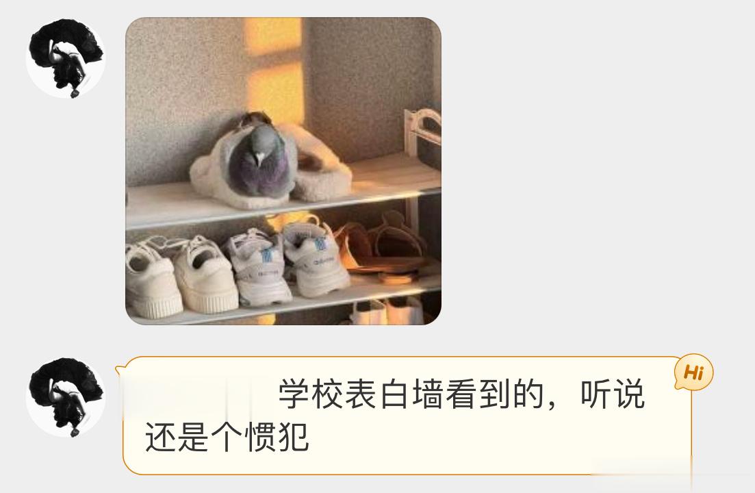 笑死，这只咕咕好会找地方卧啊 ​​​