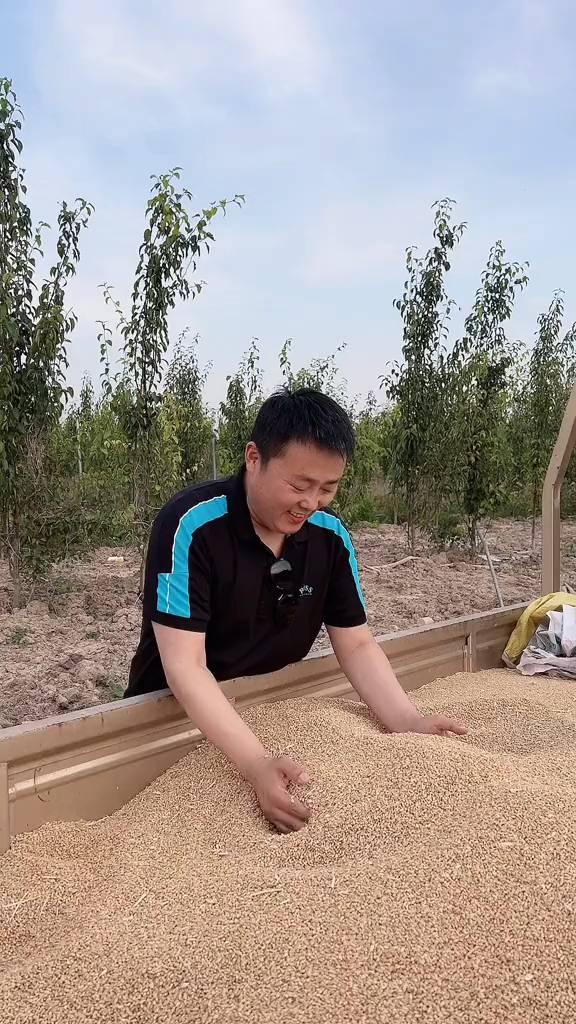 洒下汗水哗啦啦。