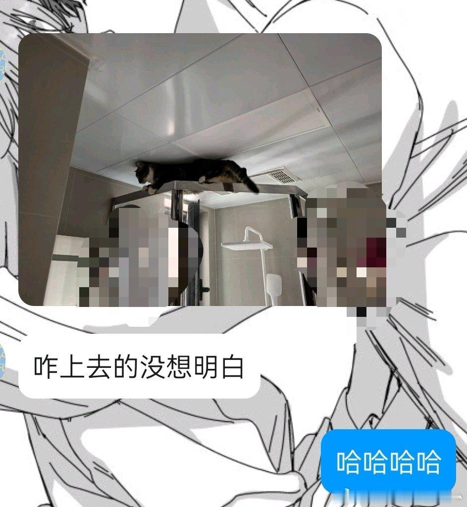 C哥在家里给我告状，团子也是出息了 