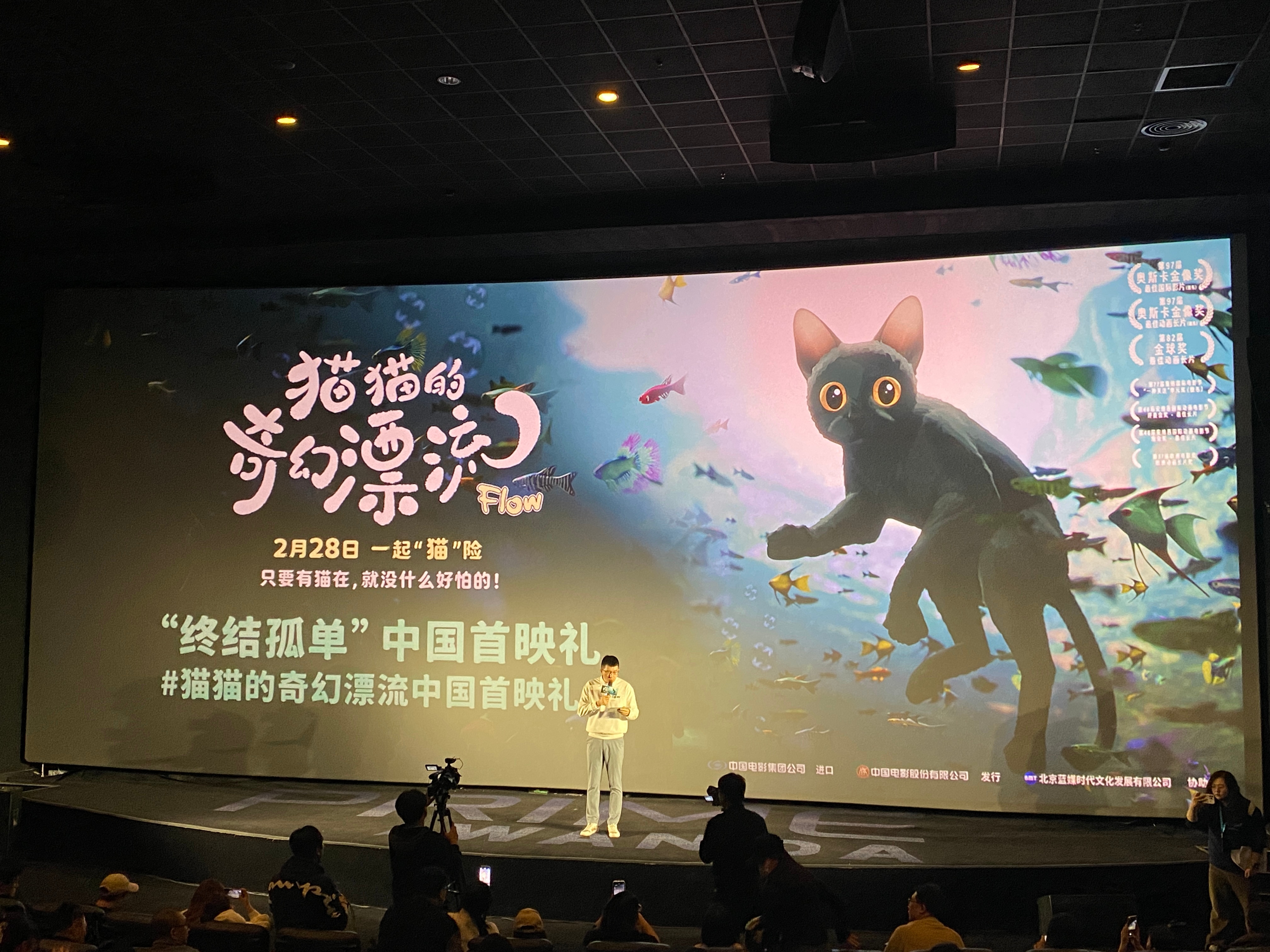 猫猫的奇幻漂流中国首映礼 很有深意的一部动画电影，动画的镜头很有意思，在镜头的后