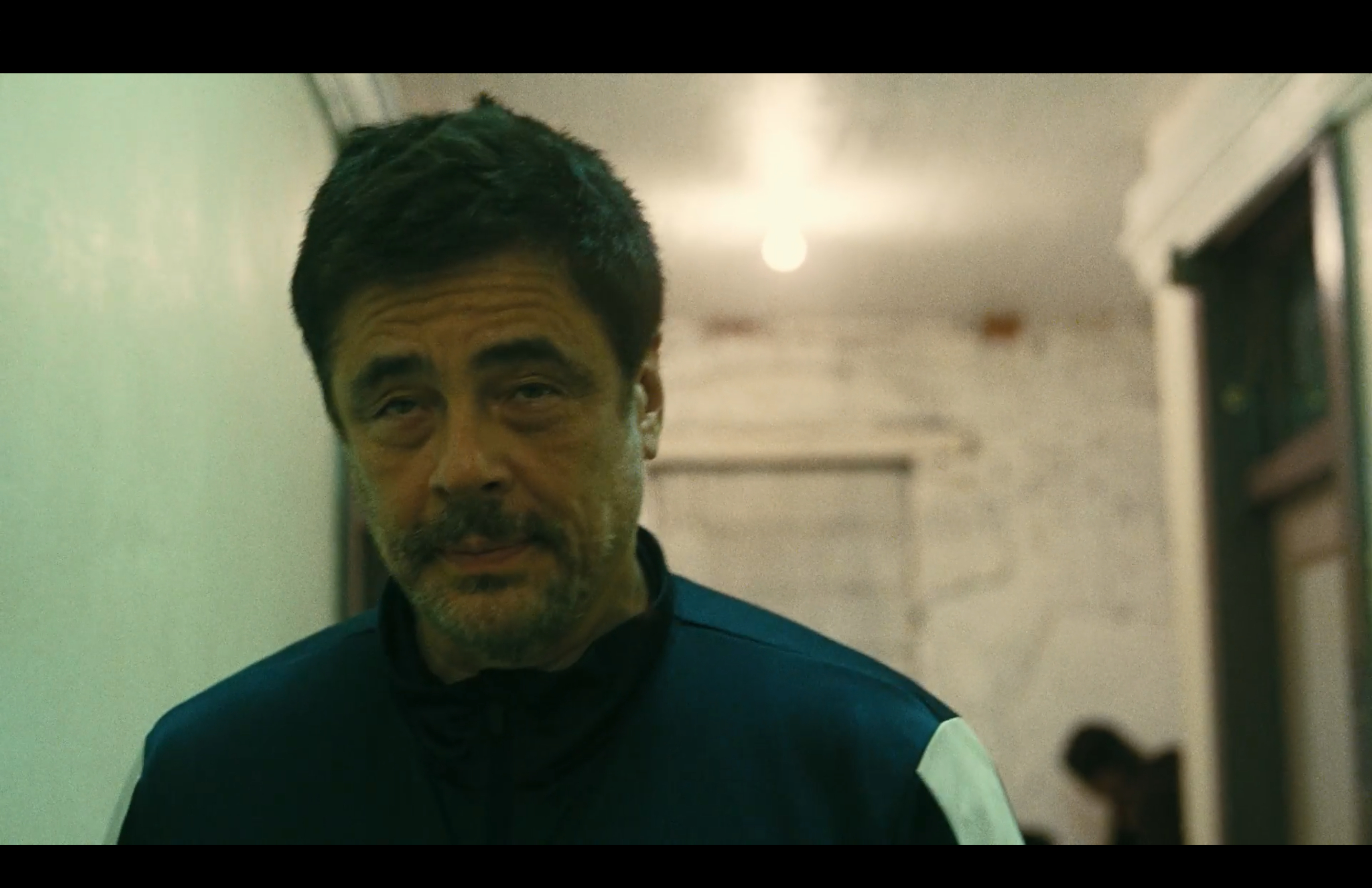 这种法国式、或者日本式的高手的慵懒的眼神，反正不是美国式的。 